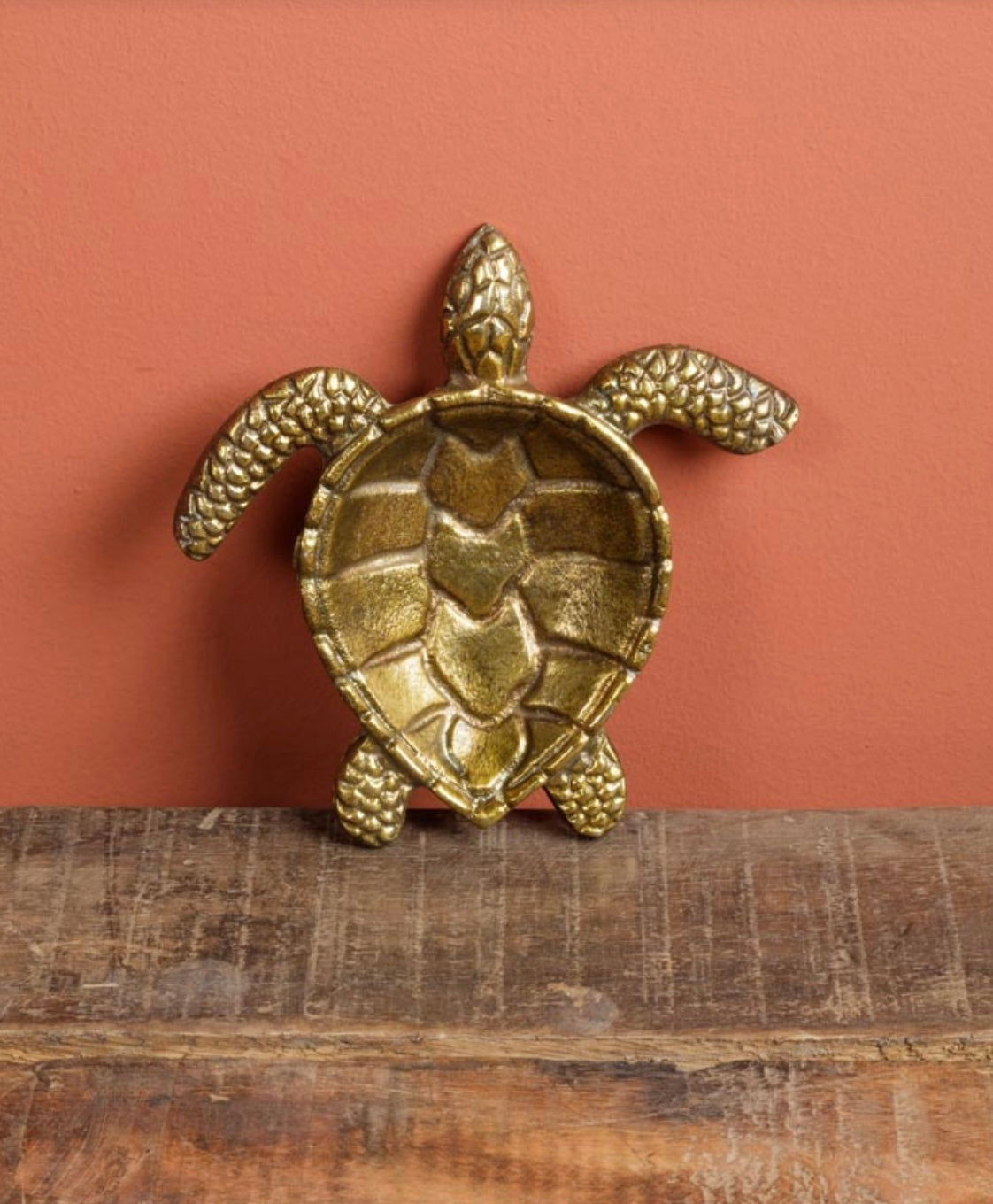 Turtle Shell Tray Golden Turtle Trinket Tray – Plunderosa
